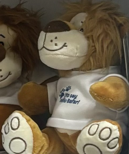 PELUCHE DE LEONCITO CON PLAYERA PERSONALIZADO
