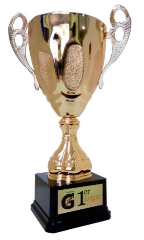 TROFEO COPA DORADA GRANDE MEDIDA 40.5  X 25 CM  DE  PLASTICO CON BASE DE PLASTICO NEGRO CON PLACA   DE ALUMINIO A COLOR