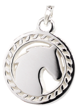 DIJE PERSONALIZADO BAÑO EN PLATA CON CADENA METAL REX DE 45 CM COLOR PLATA - ZB