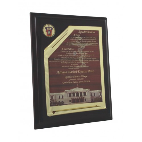 RECONOCIMIENTO TAMAÑO CARTA PLACA DOBLE DE ALUMINIO TIPO PERGAMINO